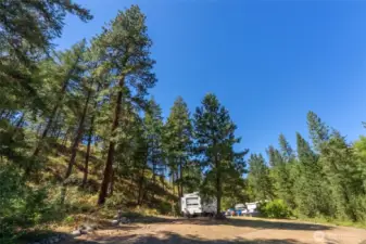 Towering pine and native shrub species characterize the hillside on the property’s southern boundary, providing excellent wildlife cover and habitat for native bird species.
