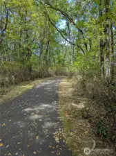 One of several trails - Don't forget to check out Sequalitchew trail
