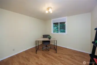 Lower level room with closet & windows