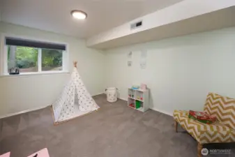 Lower level room with closet & windows