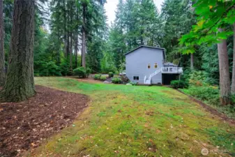 Back yard from the corner