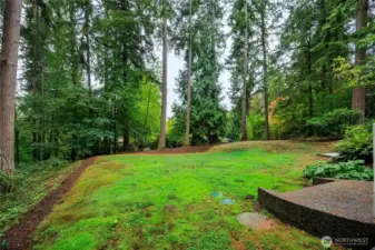 Side yard near the garden deck entrance