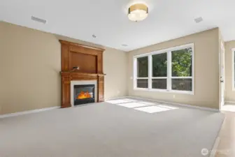 Family room w/surround sound