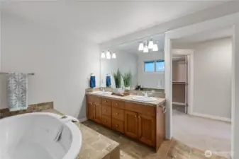 Dual sinks because no-one likes someone else's hair or toothpaste crust in their sink...