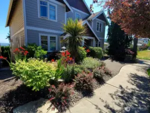 The yard is lovely in the summer time.