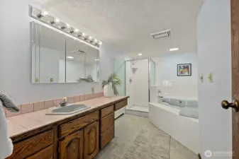 Large primary bath designed for relaxation with jetted tub and shower.