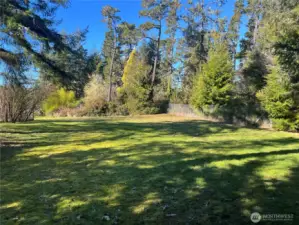 More property behind the garage, facing west.