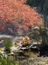 Closer look at the bottom pond of the waterfall. Another place to have morning coffee.