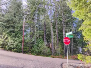 You might scare the elk out!