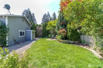 Backyard & Firepit
