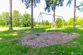 Community Park