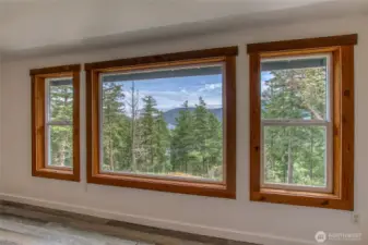 Views and light from the primary bedroom.