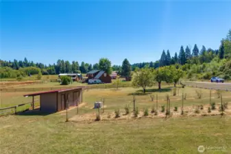 Orchard and Pump house