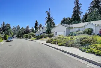 established neighborhood with mature landscaping