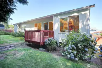 backyard with deck
