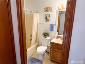 Guest Bath