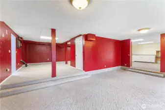 Lower level is enormous... unlimited possibility