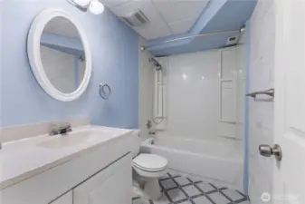 Lower level full bathroom