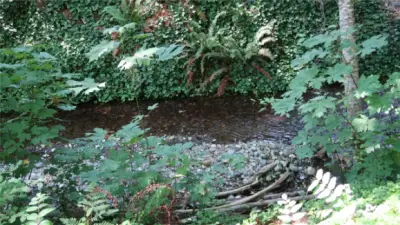 Caldervin Creek behind the home next to the fire pit