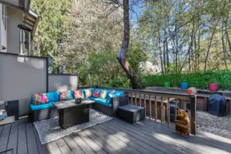 Private Oasis Against Greenbelt