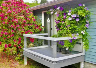 Side deck off primary bedroom.