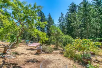 Fenced garden area.