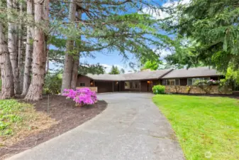 Mid-century modern styling in a beautiful one-level home.