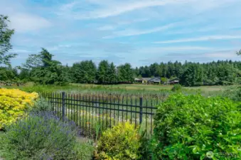 Home backs to pond, attracting wildlife and a buffer from golf course.