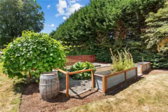 Garden is clean and ready for your use.