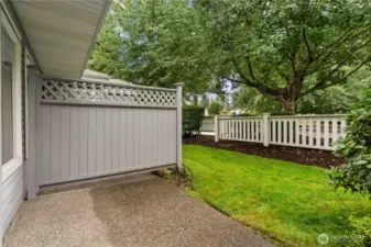 Privacy screens to make your patio time relaxing