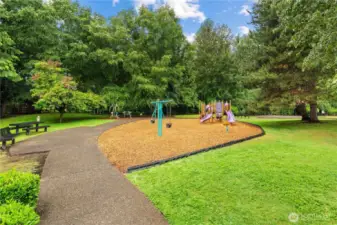 Plenty of space to roam and walk