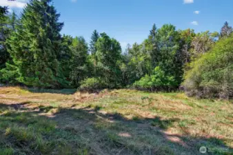 Homesite