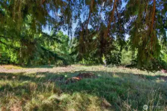 Acreage
