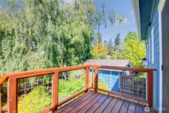 Back Deck