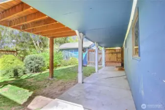 Back yard