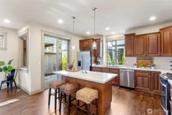 Gorgeous chef's kitchen