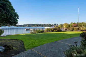 Expansive front yard