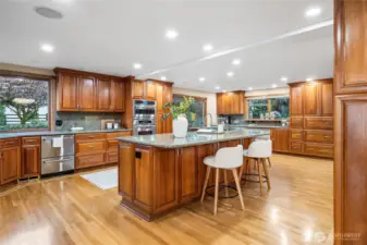 Massive Chef's kitchen
