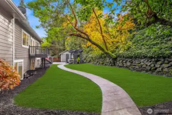 Edited image of what backyard will look like when hydroseed grows in.