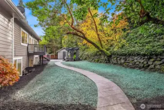 backyard with hydroseed.