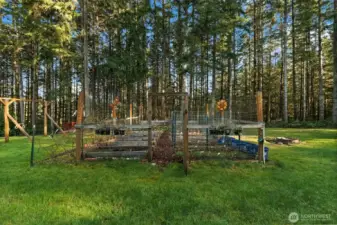 Established blueberry bushes, asparagus, raspberry plants