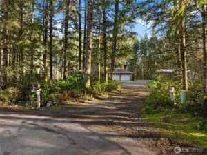 Private driveway with tons of parking