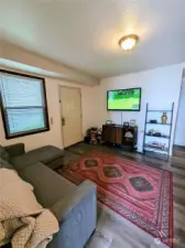 Unit C - Lower Level - living room