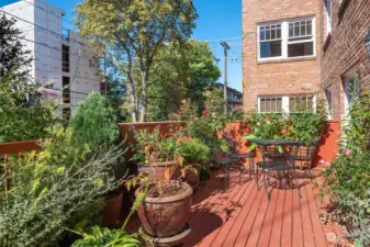 Lush outdoor garden space