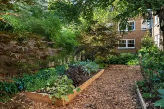 Raised garden beds for those with a green thumb.