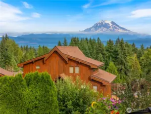 Evergreen trees all the way to the mountain, this view couldn't get anymore Pacific North West.