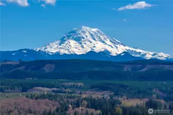 Mt. View