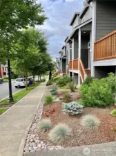 Front sidewalk