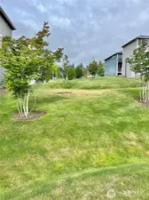 Side common area