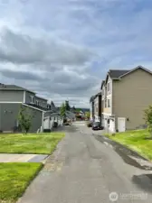 Back Alley